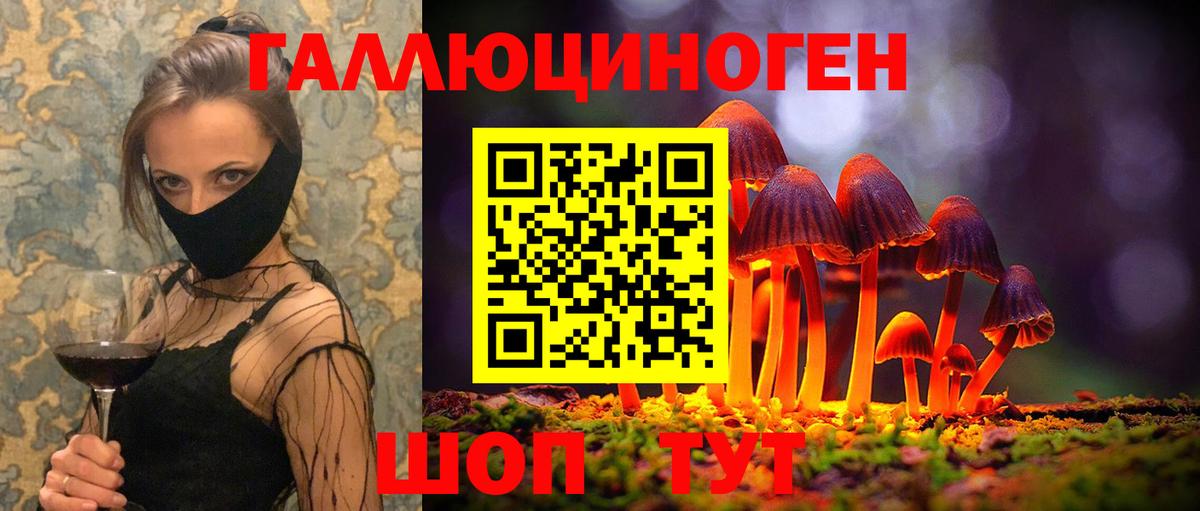 Галлюциногенные грибы Psilocybine cubensis  продажа наркотиков  Псков  Вход с VPN  Галлюциногенные грибы Psilocybe 
